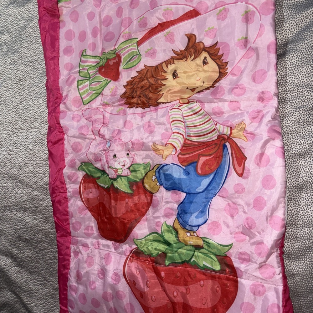 Vintage Strawberry Shortcake Sleeping Bag Removable Built In Air Mattress Case